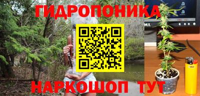 PSILOCYBIN Бузулук