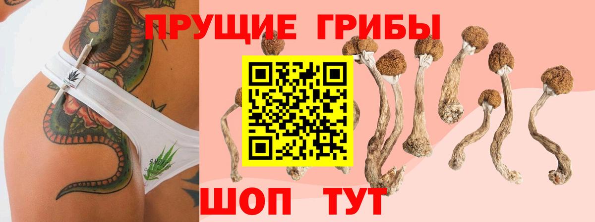 Псилоцибиновые грибы Magic Shrooms Благовещенск